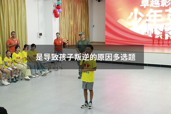 是导致孩子叛逆的原因 多选题